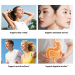 apple cider vinegar capsules with cinnamon turmeric berberine bitter melon fenugreek gymnema sylvestre supports healthy digestion and metabolic wellness herbal daily supplement