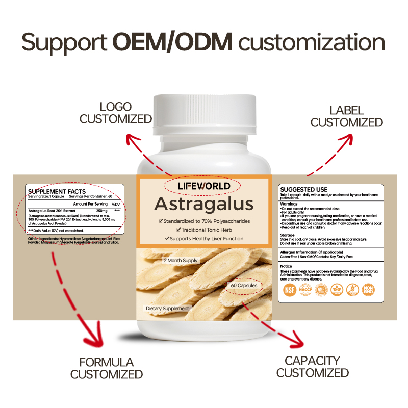 Astragalus Root Capsules are a botanical supplement featuring astragalus root in a convenient capsule format. Designed for supplement brands seeking plant-based ingredients for their product portfolios, this product offers a straightforward herbal supplement concept for daily wellness ranges. We support B2B buyers with private label and OEM/ODM project discussions, including product specification review, packaging customization, and label design support. Ingredient form, serving size, capsule count, and packaging options can be confirmed according to your project requirements. Contact our team to discuss your target market, preferred specifications, sample requirements, and private label options.