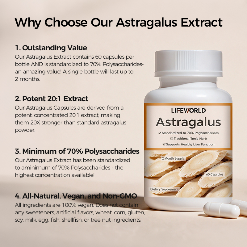 Astragalus Root Capsules are a botanical supplement featuring astragalus root in a convenient capsule format. Designed for supplement brands seeking plant-based ingredients for their product portfolios, this product offers a straightforward herbal supplement concept for daily wellness ranges. We support B2B buyers with private label and OEM/ODM project discussions, including product specification review, packaging customization, and label design support. Ingredient form, serving size, capsule count, and packaging options can be confirmed according to your project requirements. Contact our team to discuss your target market, preferred specifications, sample requirements, and private label options.