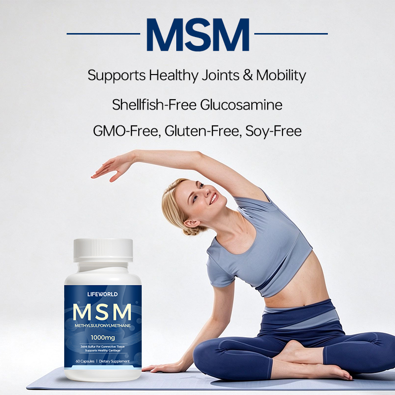 Glucosamine MSM Capsules 1000mg for Joint Health Develop a joint wellness supplement featuring Glucosamine and MSM in a convenient capsule format. This combination is suitable for supplement brands exploring joint health and everyday mobility product categories, subject to the final formula and target-market requirements. We support B2B customers with private label and OEM/ODM project discussions, including ingredient specification review, capsule format, packaging options, and label customization. Available Project Options Private Label and OEM/ODM Support Custom Packaging and Label Design Ingredient Specification Review Product Documentation, Where Available Bulk Supply and Project-Based Quotations Please confirm the amount of Glucosamine and MSM per serving, the ingredient forms, and the recommended daily serving before finalizing the product label. Contact our team to discuss your target market, packaging preferences, formula requirements, and order quantity.