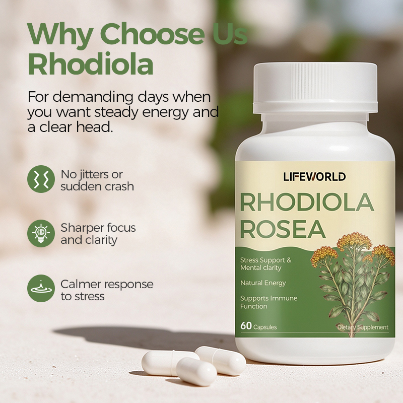 Rhodiola Rosea Capsules for Daily Wellness Our Rhodiola Rosea Capsules feature a botanical ingredient commonly used in herbal supplement formulations. Designed for supplement brands, importers, distributors, and wholesalers, this product offers a convenient capsule format for daily wellness product portfolios. Depending on the verified formulation and applicable market requirements, the product may be positioned around daily stress support, energy, and general wellness. The plant part, extract ratio, standardization, ingredient amount, and serving size should be confirmed against the approved product specification. We offer OEM and ODM support for B2B customers, including product specification review, private label development, customized label artwork, and packaging options. Product Highlights Rhodiola rosea botanical supplement Convenient capsule dosage form Suitable for herbal wellness product portfolios Private label and customized packaging options OEM and ODM product development support Product specifications and available quality documents upon request Contact our team to discuss ingredient specifications, target-market requirements, packaging preferences, and order quantity.
