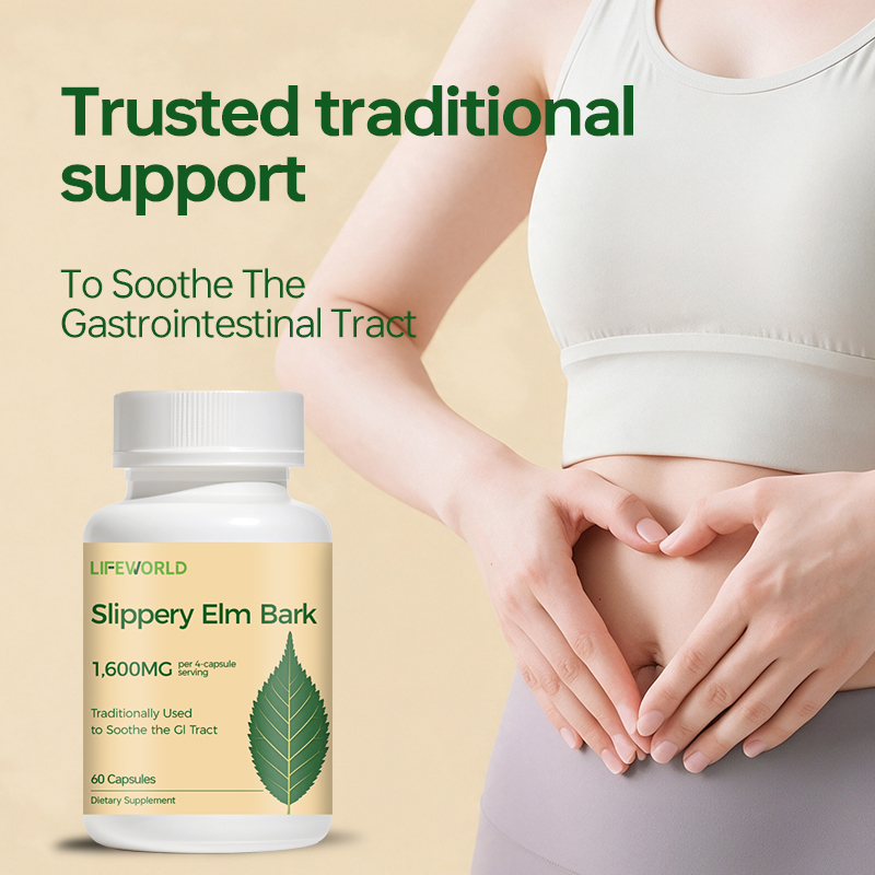 Slippery Elm Bark Herbal Capsules 1600mg Discover Slippery Elm Bark Herbal Capsules, a botanical supplement designed for adult wellness product ranges. This formula features slippery elm bark in a convenient capsule format, making it suitable for supplement brands exploring plant-based wellness products.